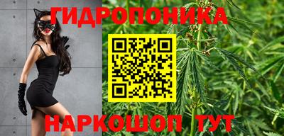 тгк Тара