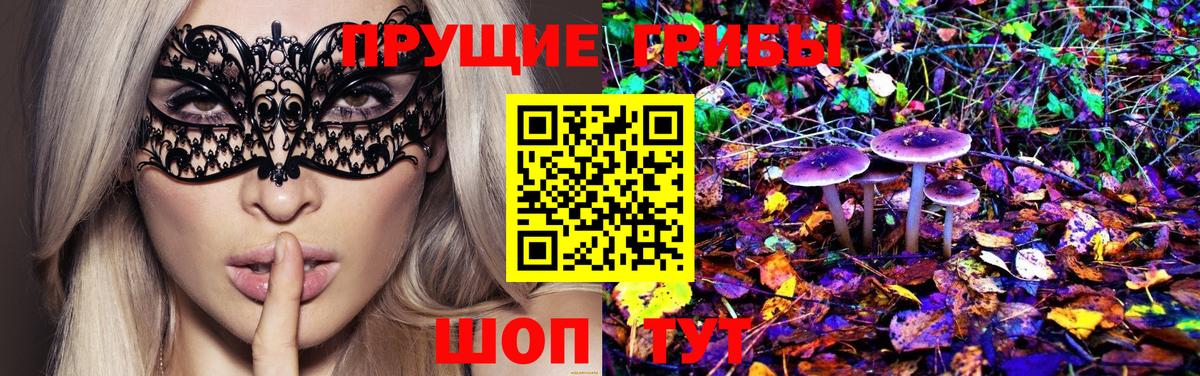 Псилоцибиновые грибы Magic Shrooms Павловский Посад